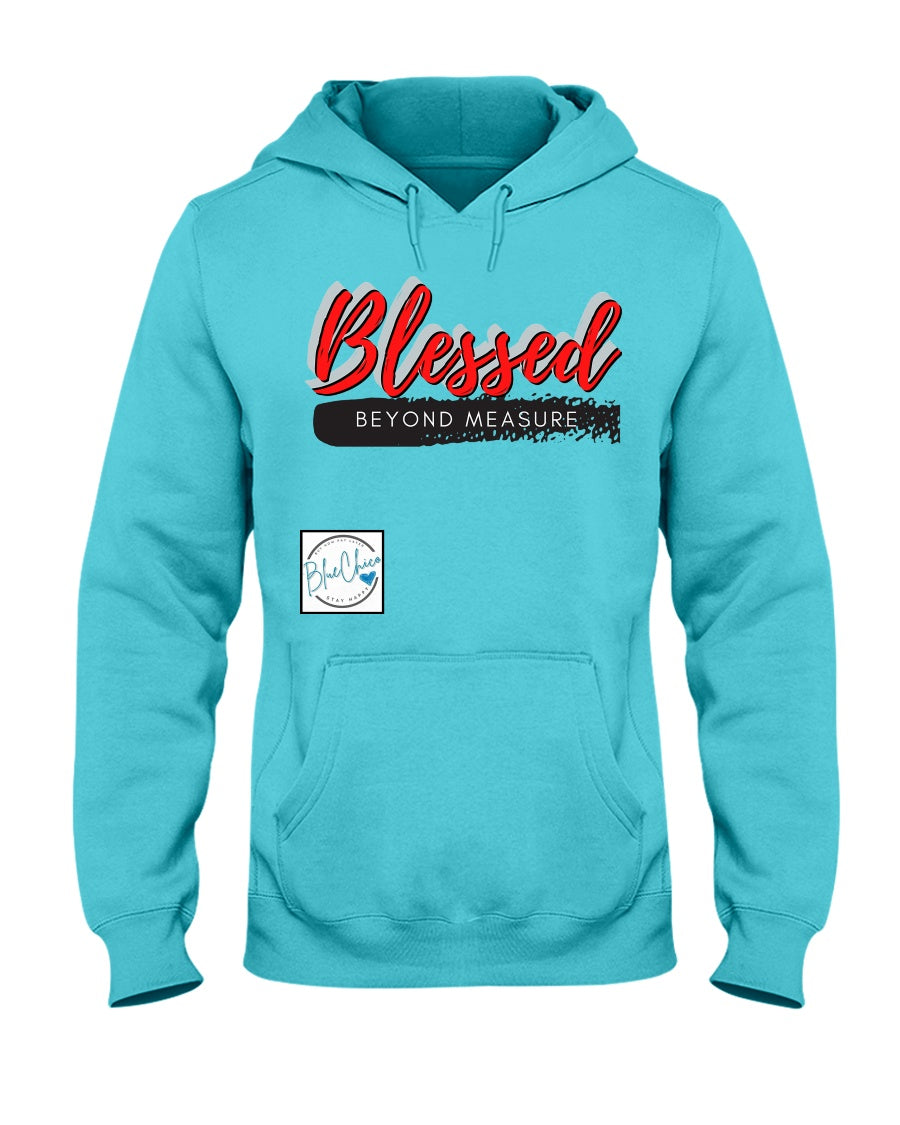 Warmest discount pullover hoodie